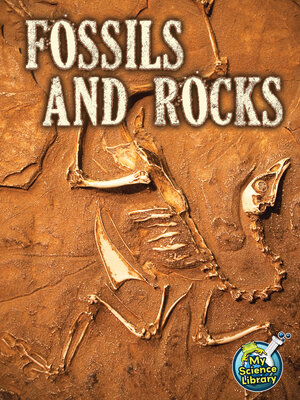 cover image of Fossils and Rocks